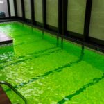 ENSAIO FLUORESCEINA